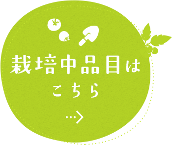 栽培中品目はこちら