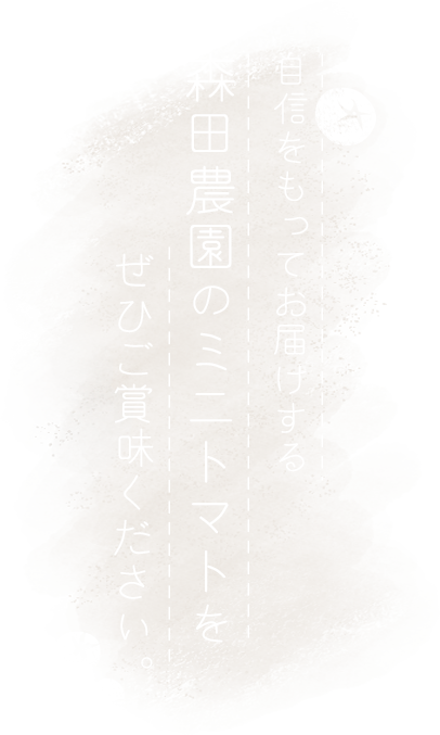 自信をもってお届けする森田農園のミニトマトをぜひご賞味ください。