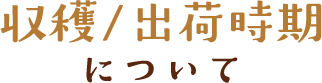 収穫/出荷時期について